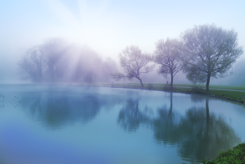 serenity scene grief counseling